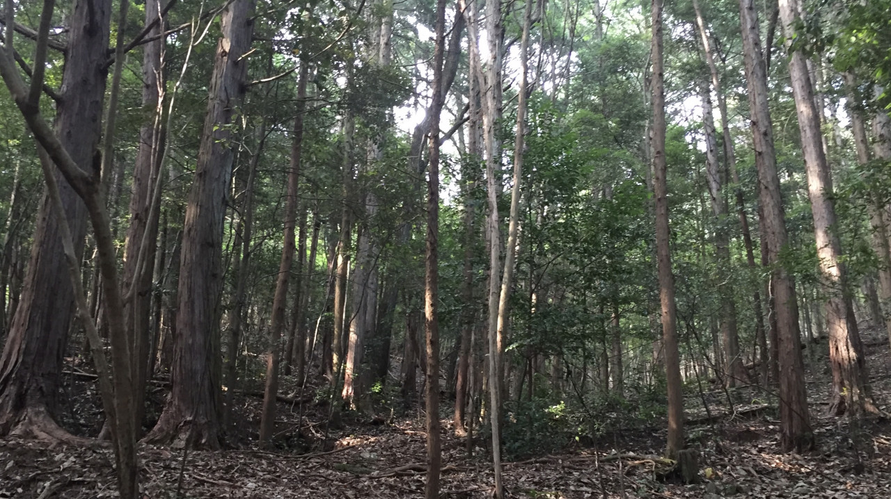 花粉対策−グッズ(株式会社みらい)