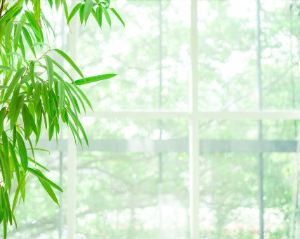 クリーンなお部屋