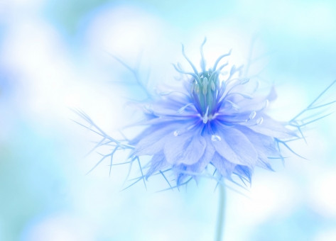 花粉対策のグッズ必要とされる理由