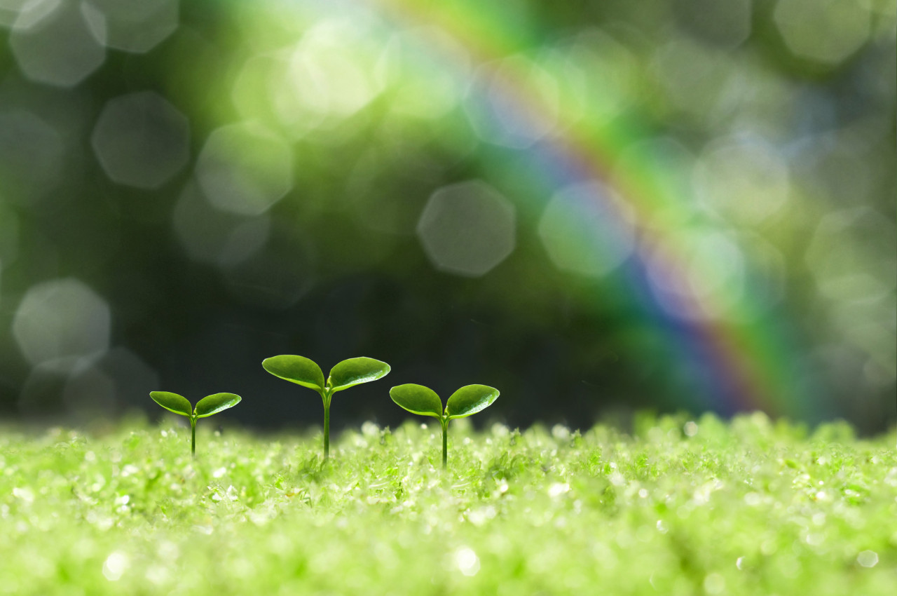 株式会社みらい