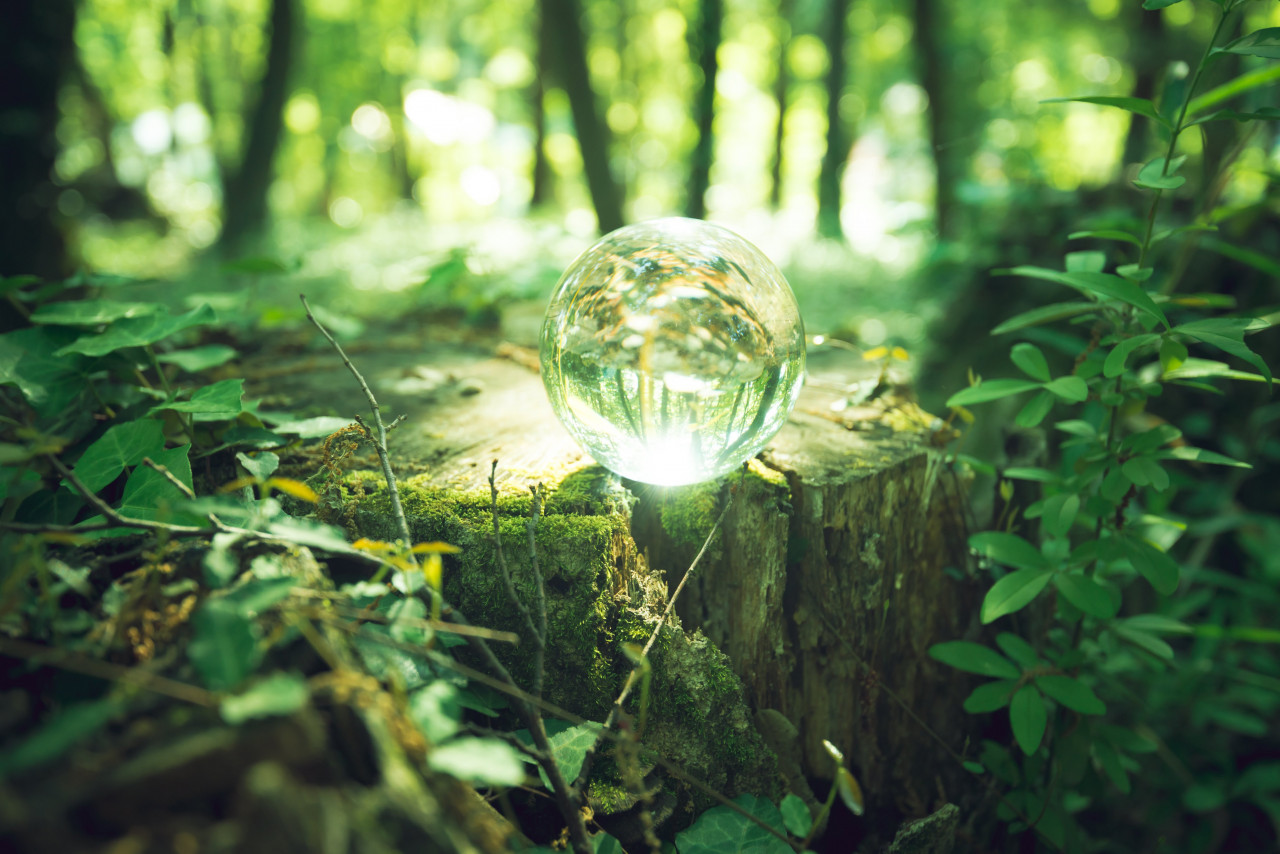 株式会社みらい